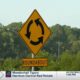 National Roundabout Week
