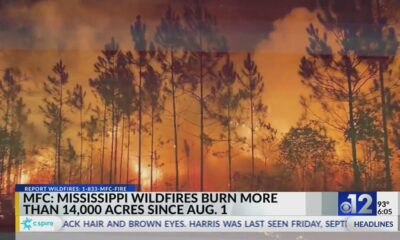 Mississippi wildfires burn more than 14,000 acres since Aug. 1