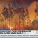Mississippi wildfires burn more than 14,000 acres since Aug. 1