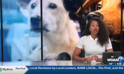Animal shelter falling far short of fundraising goal.