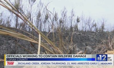 Crews work to contain Copiah County wildfire