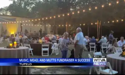 Music, Mead & Mutts: An Unforgettable Night of Tunes, Drinks, and Furry Friends!