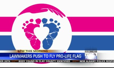 Mississippi lawmaker, other republican senators push for President to fly pro-life flag in October