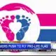 Mississippi lawmaker, other republican senators push for President to fly pro-life flag in October