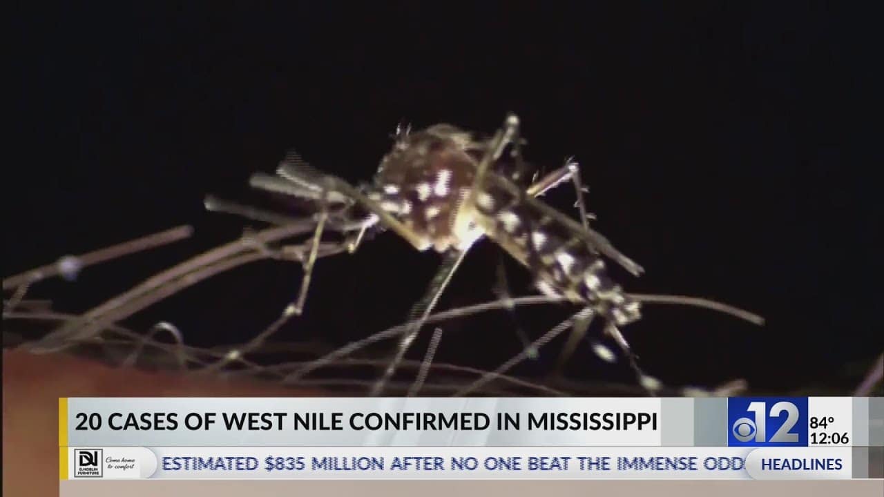 Mississippi reports 20 human cases of West Nile Virus
