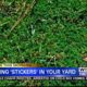 Treating "stickers" in your yard before they become a problem