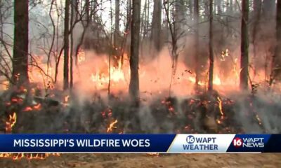 MFC calls for wildfire help