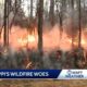 MFC calls for wildfire help