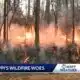 MFC calls for wildfire help