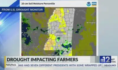 Drought continues to impact Mississippi farmers