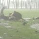 1998 Hurricane Georges peels roof off Hurricane Shelter at MGCCC