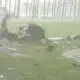1998 Hurricane Georges peels roof off Hurricane Shelter at MGCCC