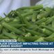 Major drought impacting those at farmers markets