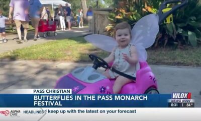 Butterflies in the Pass Monarch Festival balances family fun with education