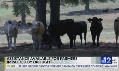 Assistance available for Mississippi farmers impacted by drought