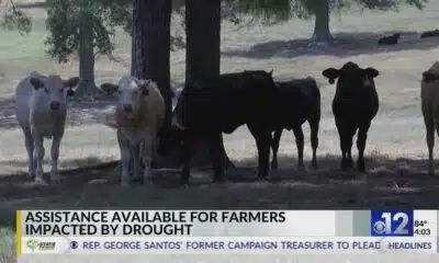 Assistance available for Mississippi farmers impacted by drought