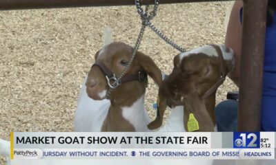 Market goat show held at the  Mississippi State Fair
