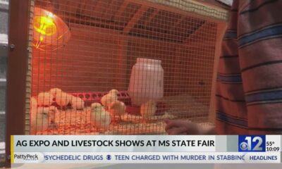 Ag Expo and Livestock shows held at Mississippi State Fair