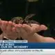 CREEPY CRAWLERS: GMM crew faces fears with Halloween animal challenge