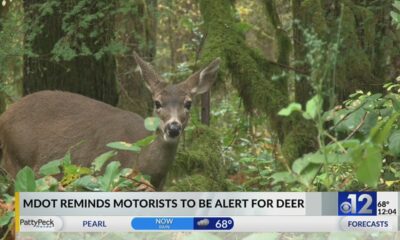 MDOT reminds drivers to stay alert for deer
