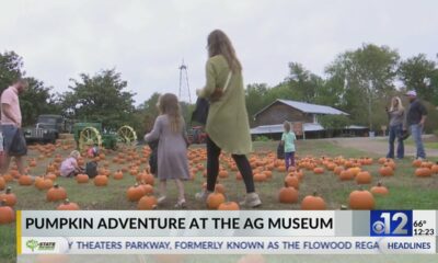 Pumpkin Adventure held at the Mississippi Ag Museum