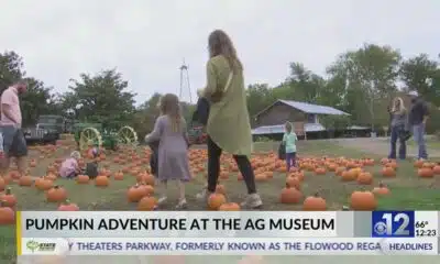 Pumpkin Adventure held at the Mississippi Ag Museum