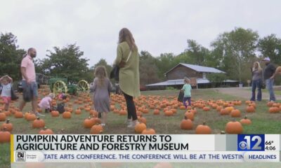 Mississippi Ag Museum hosts annual Pumpkin Adventure