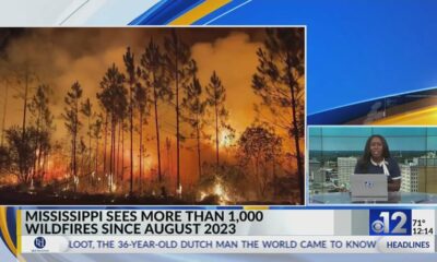 Mississippi sees more than 1,000 wildfires since August 2023