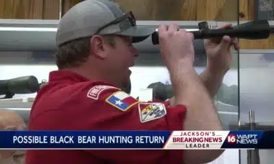 Could bear hunting return to Mississippi