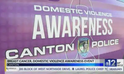 Breast cancer, domestic violence awareness event held in Canton