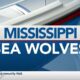 Mississippi Sea Wolves preparing for the season