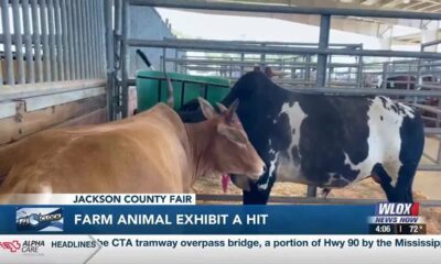 Farm animal exhibit a hit at the Jackson County Fair