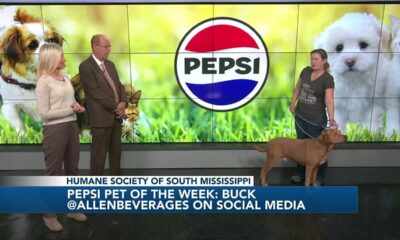 Pepsi Pet of the Week