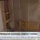 Sewage damages Habitat for Humanity homes in Jackson