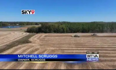 Is drought impacting soybean harvest?