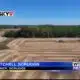 Is drought impacting soybean harvest?