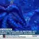 $4.5 Million dollars in Restore Act funding going to Mississippi Aquarium