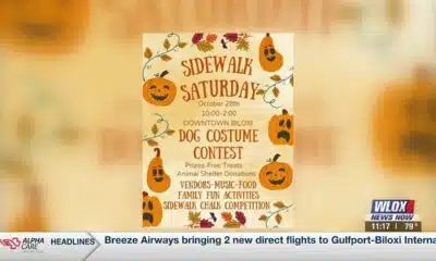 THIS WEEKEND: Biloxi hosts 'Sidewalk Saturday,' plus chalk contest, dog costume contest