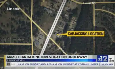 Brookhaven police search for carjacking suspect