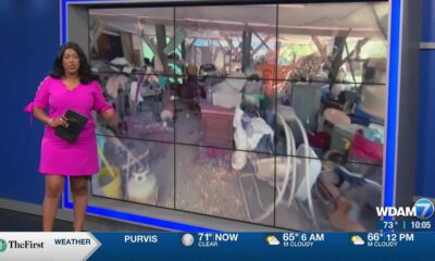 Dogs saved from wretched conditions doing well at Hattiesburg shelters