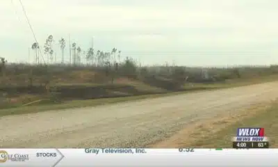 Jackson County woods fire taking over 7 acres