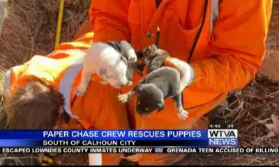 Calhoun County Sheriff needed a bit of help with a special rescue mission