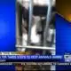 Amory Humane Society works to keep animals warm