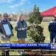 MFC receives grant to plant trees