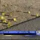 No injuries in Macon shootout