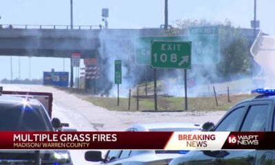 Multiple Grass Fires