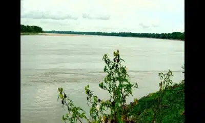 Focused on Mississippi: Mississippi River remains low