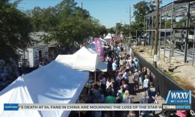 Peter Anderson Festival in Ocean Springs draws thousands