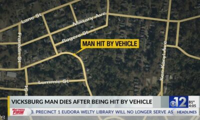 Vicksburg man dies after being hit by vehicle