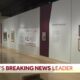 Picasso exhibit opens at Museum of Art